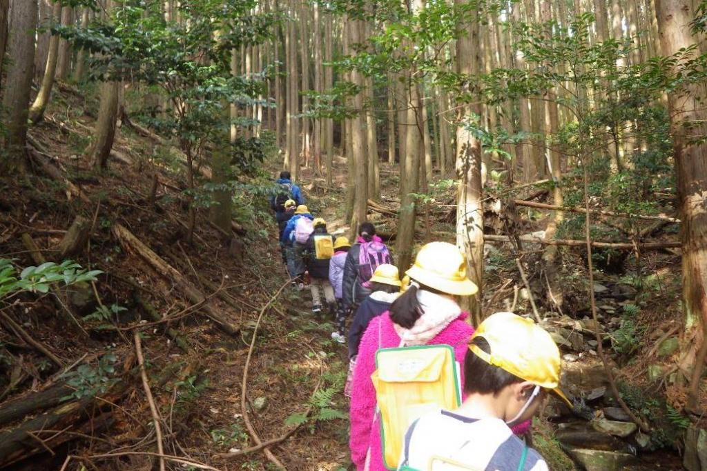 登山道を進みます