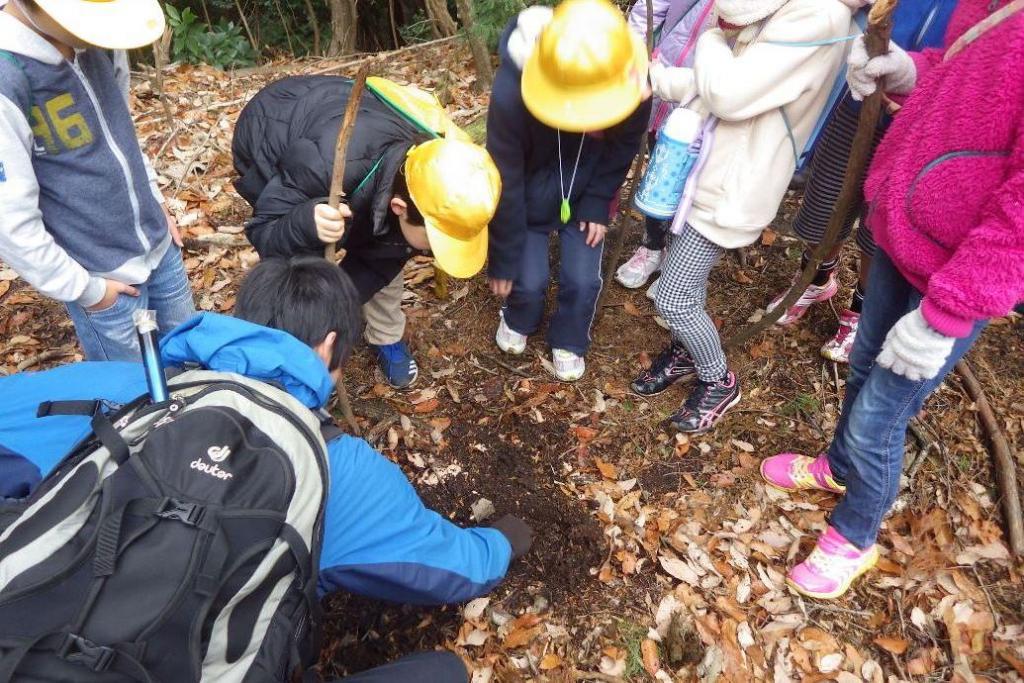 土を掘って腐葉土を観察します