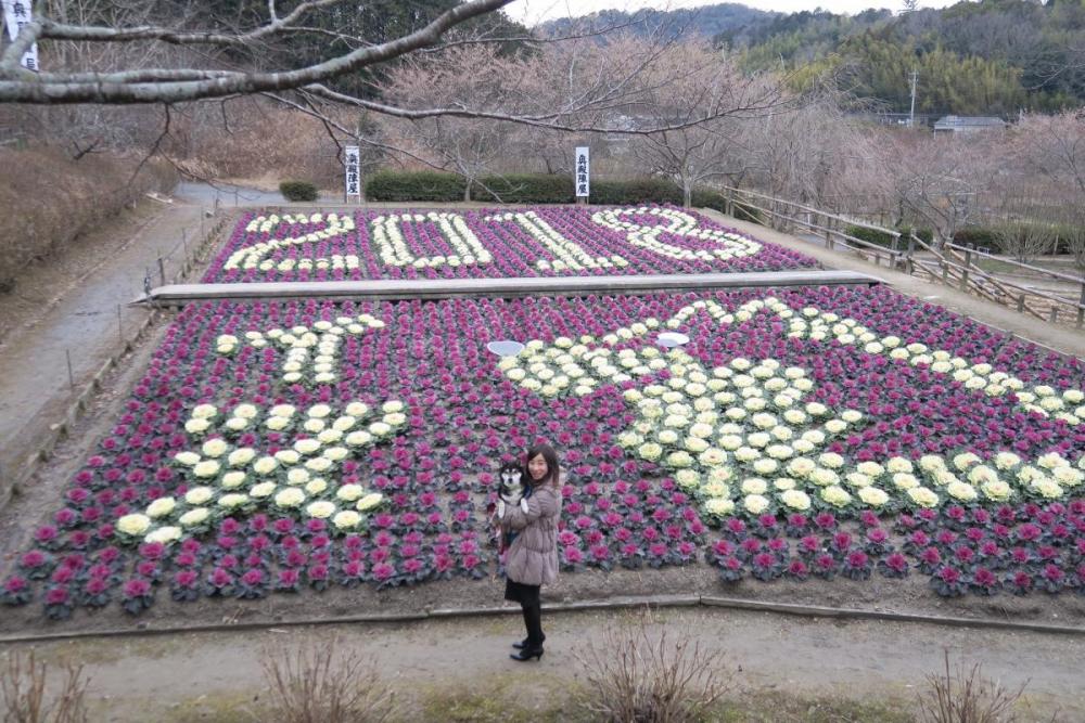 2018年は戌年！愛犬ぶん太と遊びに来ました♪(特別な許可を頂きペット同伴で撮影しました)