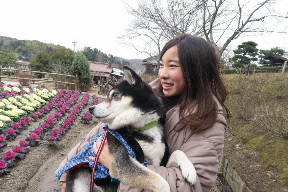 綺麗だね～♪ぶん太くんもうっとり(特別な許可を頂きペット同伴で撮影しました)