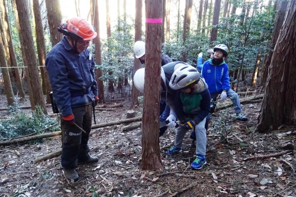 ノコギリで間伐しましょう