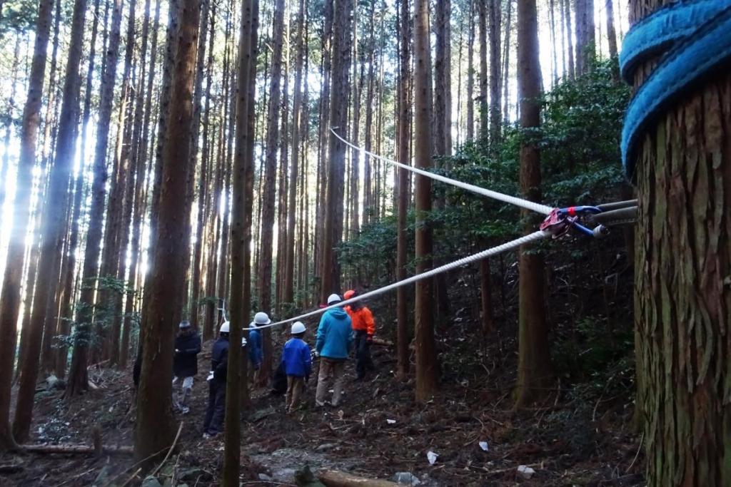 あらかじめ倒す方向にロープを張っておきます