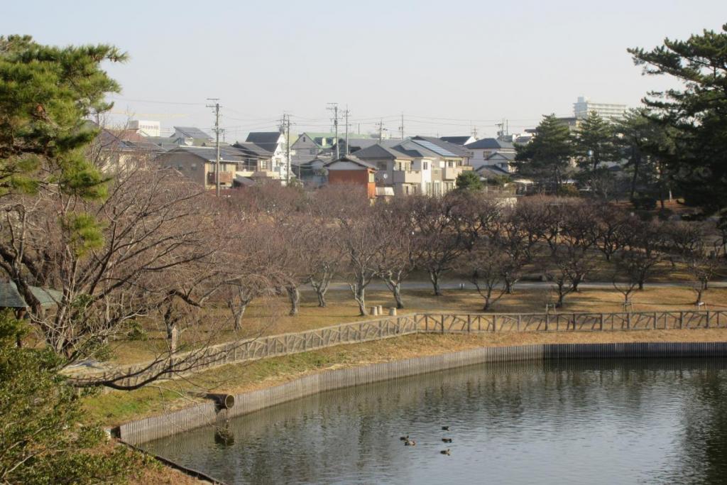 全景1