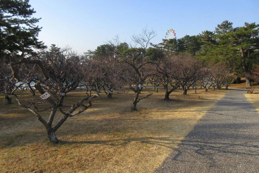 全景2