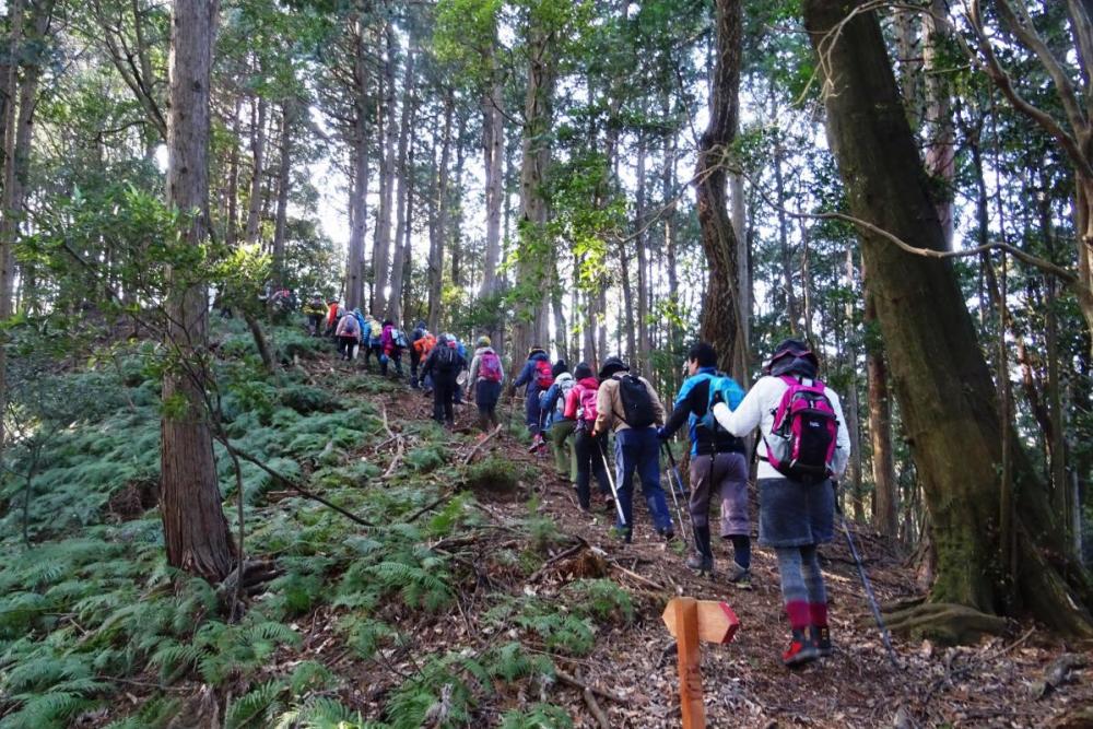 いきなり急な坂を登ります