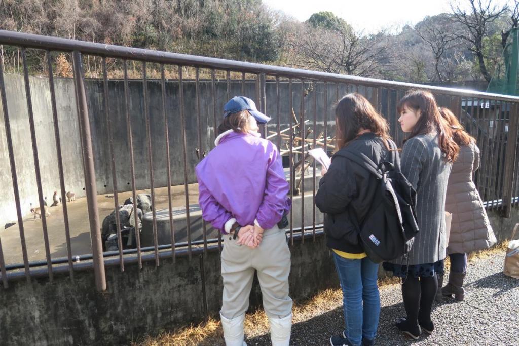 飼育員さんに猿の習性や特徴を教えていただきました！