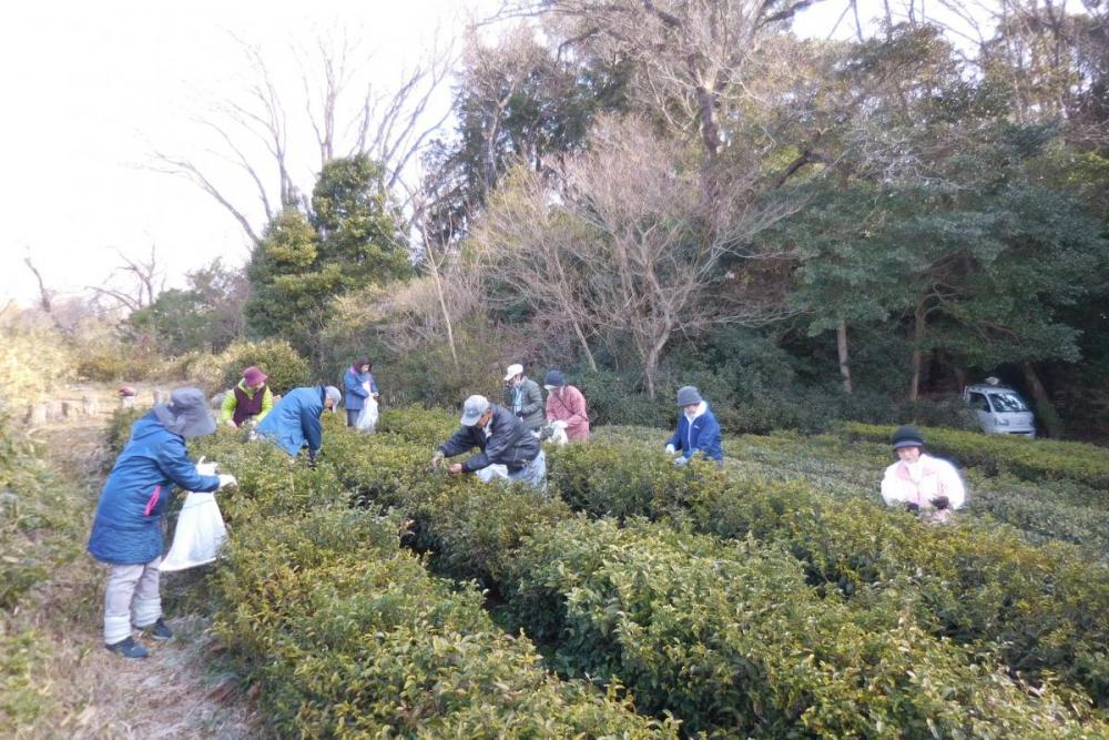 大勢で臨むと作業も迅速に進みます