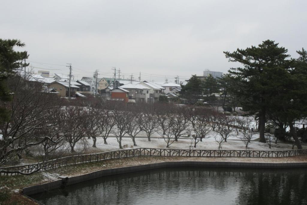 全景1