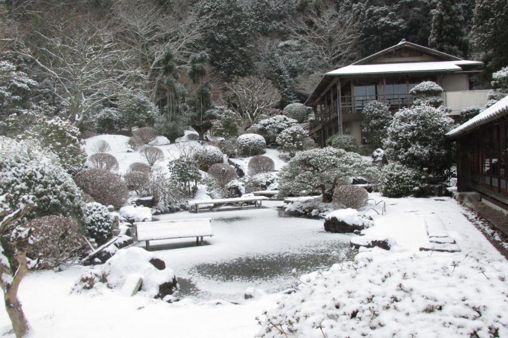 冬の庭園。綺麗ですね！