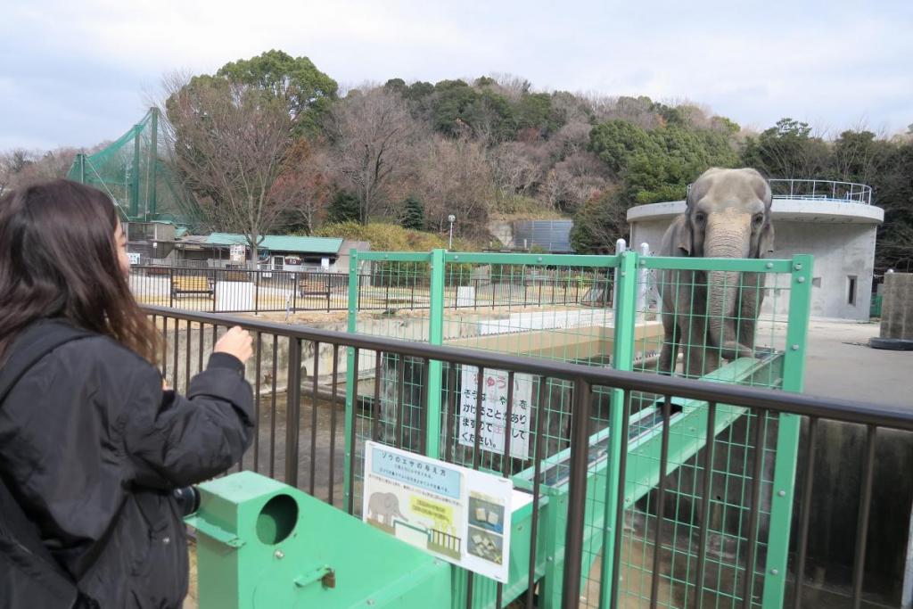 エサやりの場所へ行くと、ふじ子から寄ってきてくれます☆