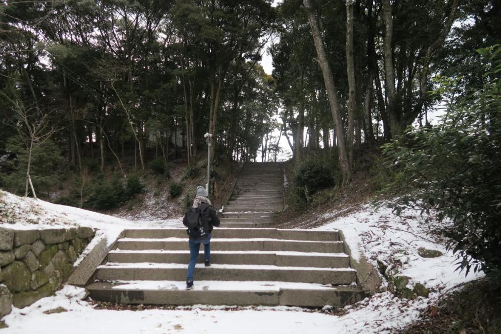 前日、岡崎ではめずらしく雪が降り、気をつけながら…