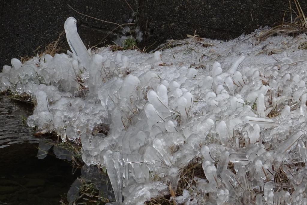 樹氷の様に草についた氷