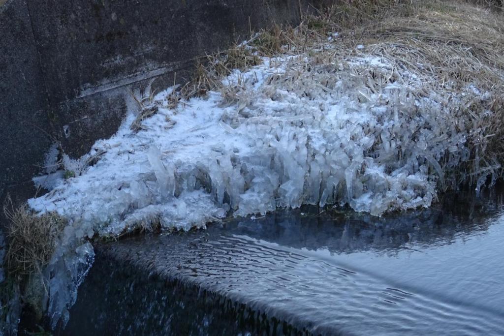 樹氷の様に草についた氷