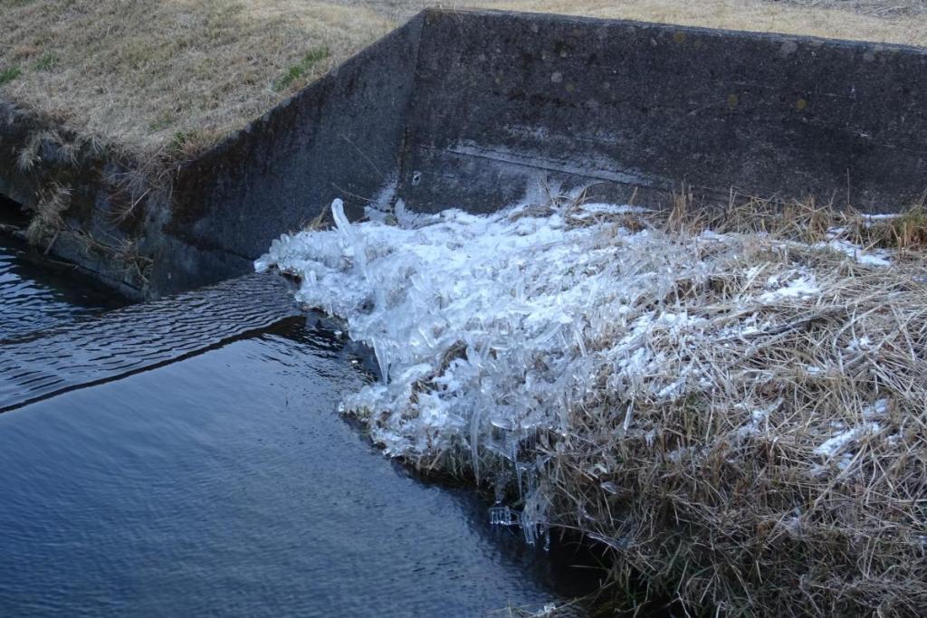 樹氷の様に草についた氷