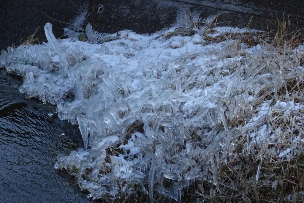 樹氷の様に草についた氷