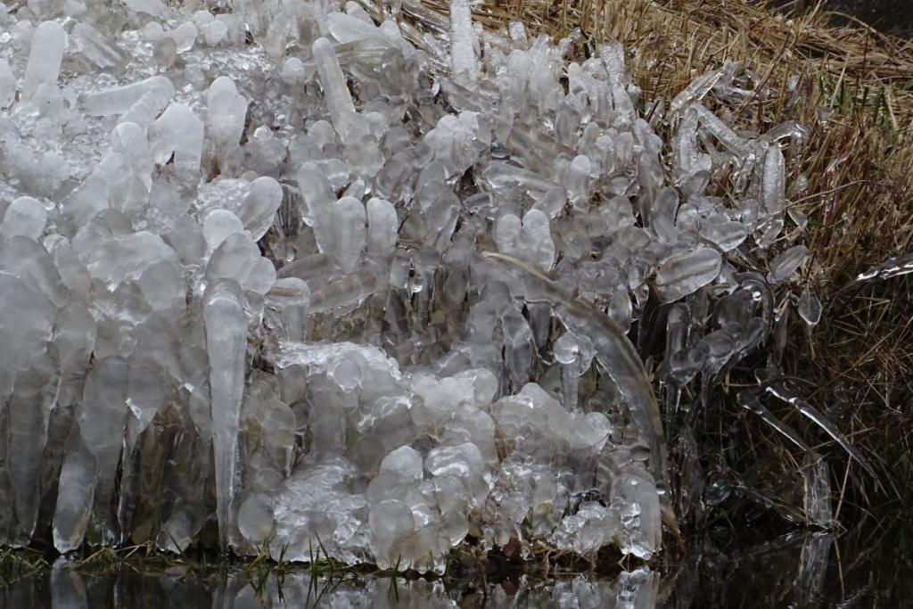 樹氷の様に草についた氷