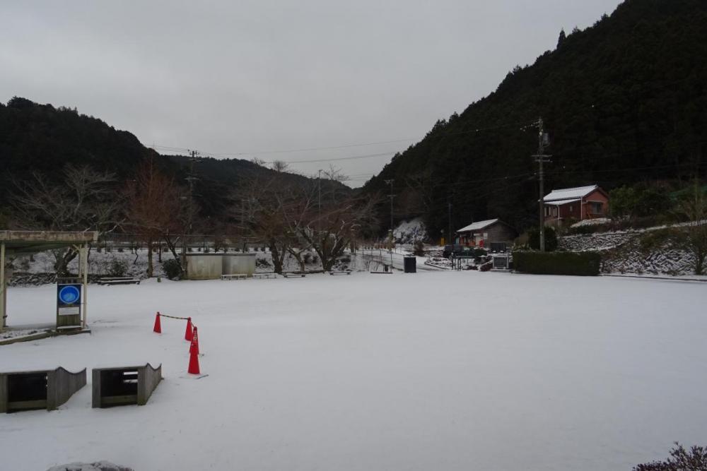 前日に降った雪