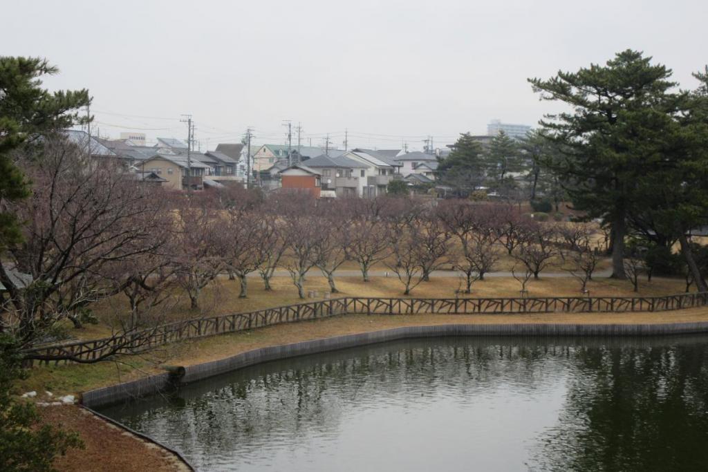 全景1