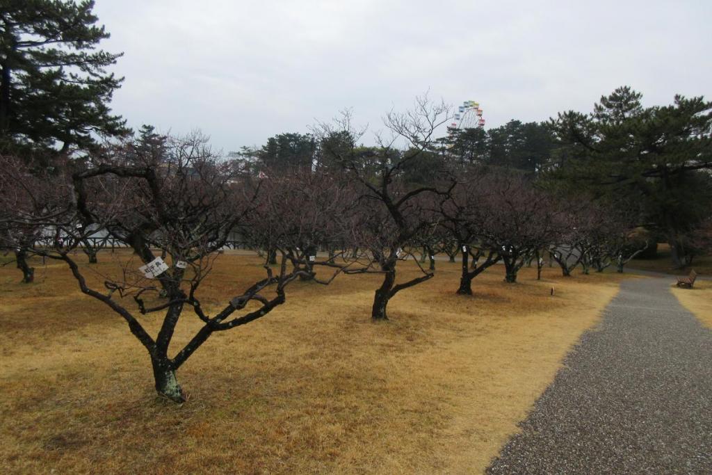 全景2