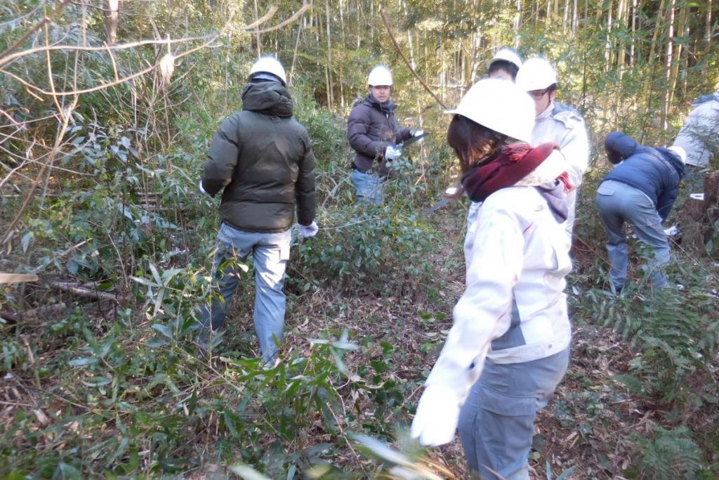 結構な茂り具合ですが…