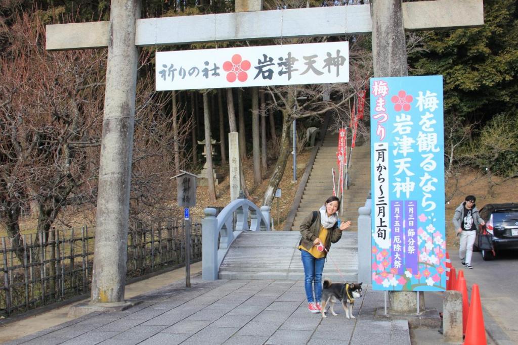 2月中旬から、梅まつりが開催されるそうです