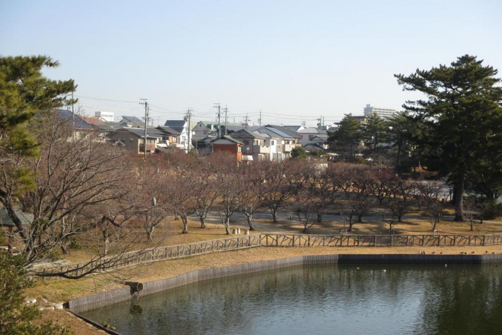 全景1