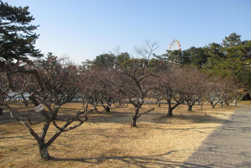 全景2