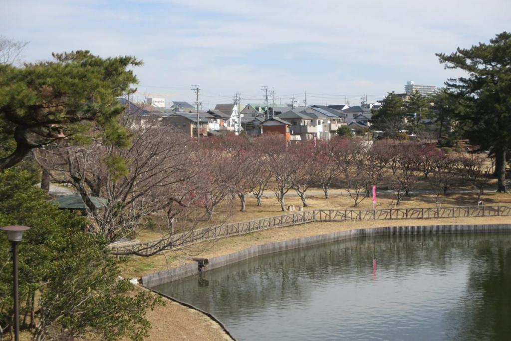 全景1