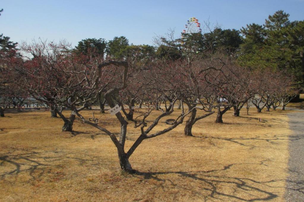 全景2
