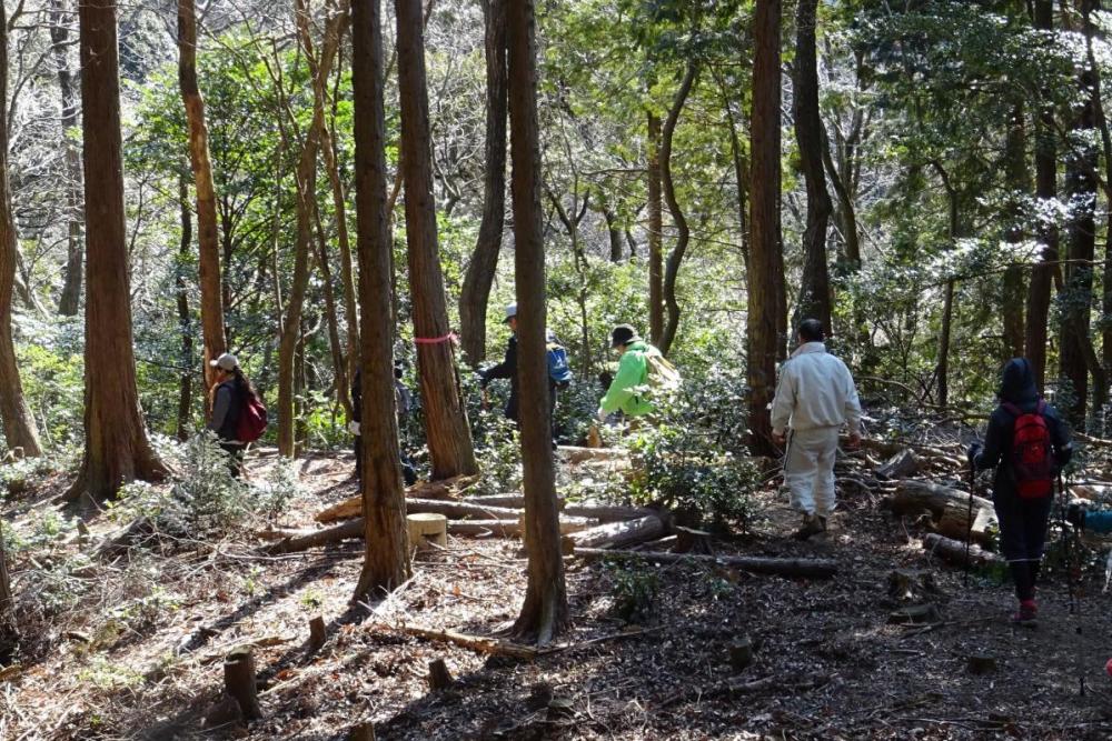 愛宕山から坂を下ります