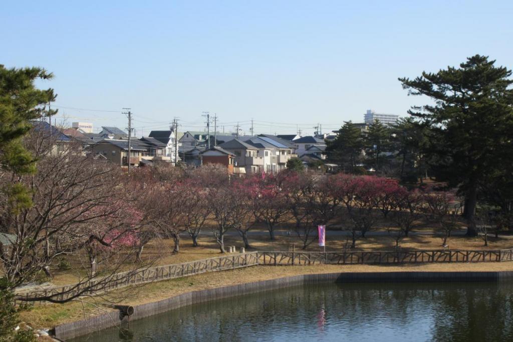 全景1
