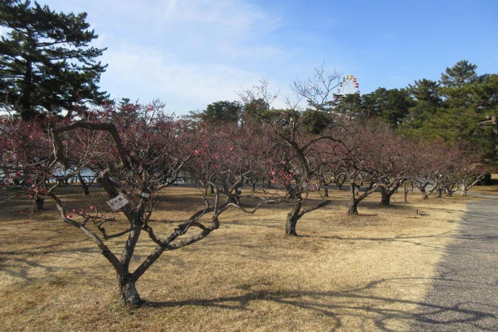 全景2