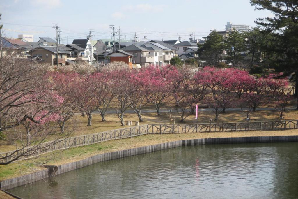 全景1