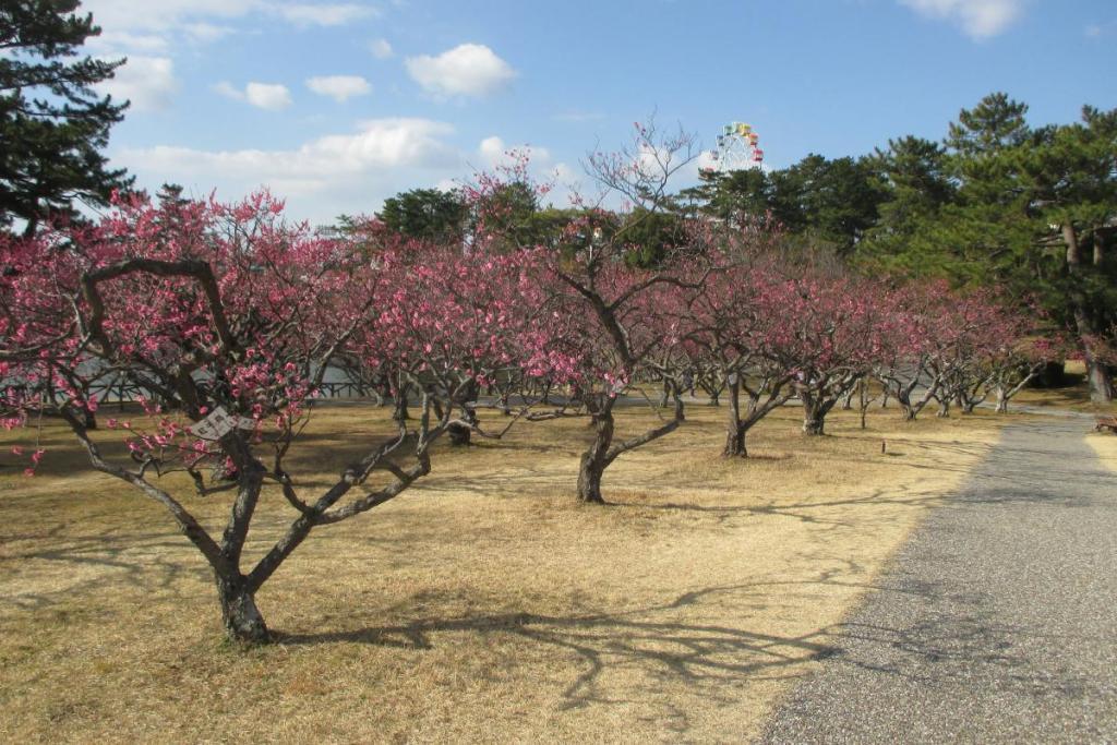 全景2