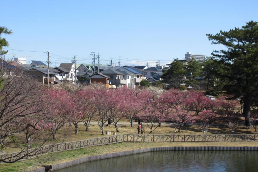 全景1