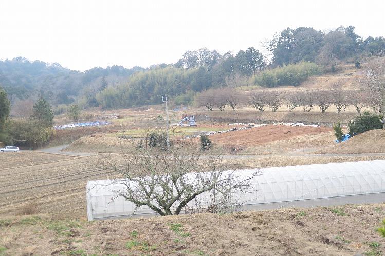 田口町ののどかな山間地で美味しい自然薯が育ちます