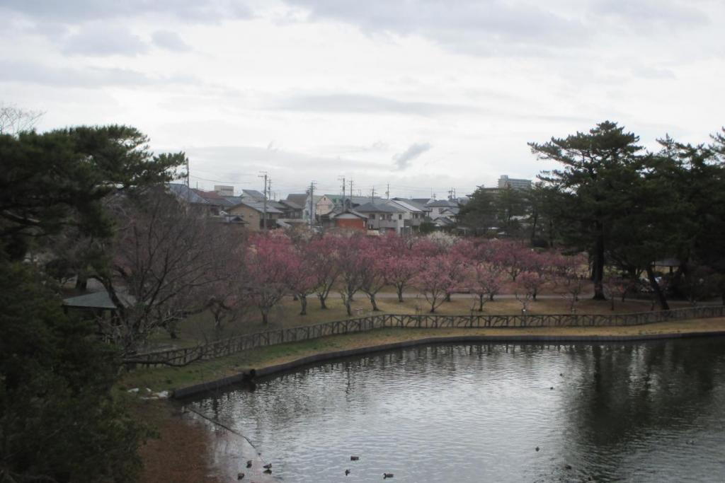 全景1