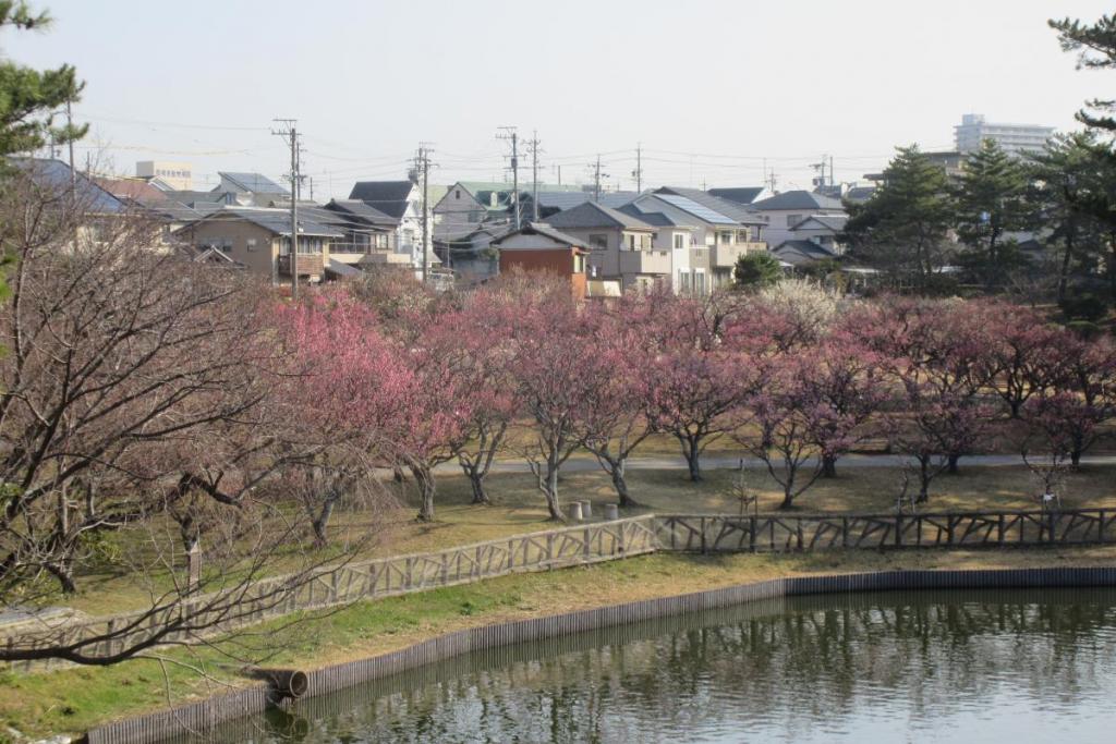 全景1