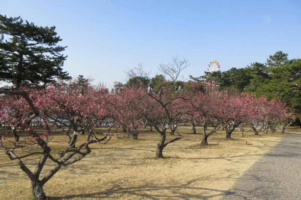 全景2