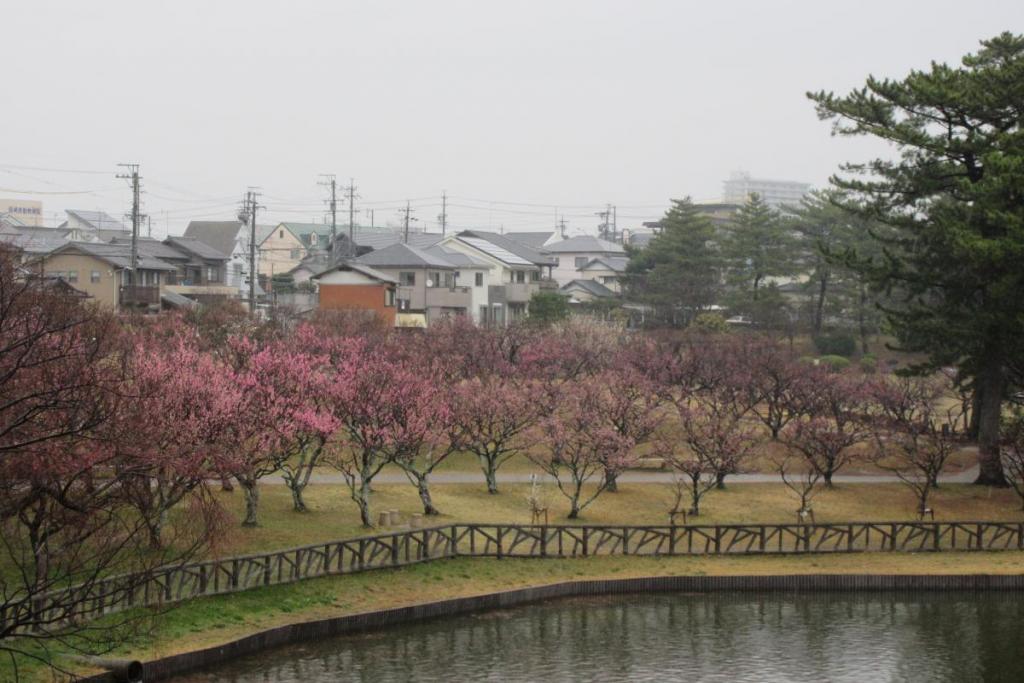全景1