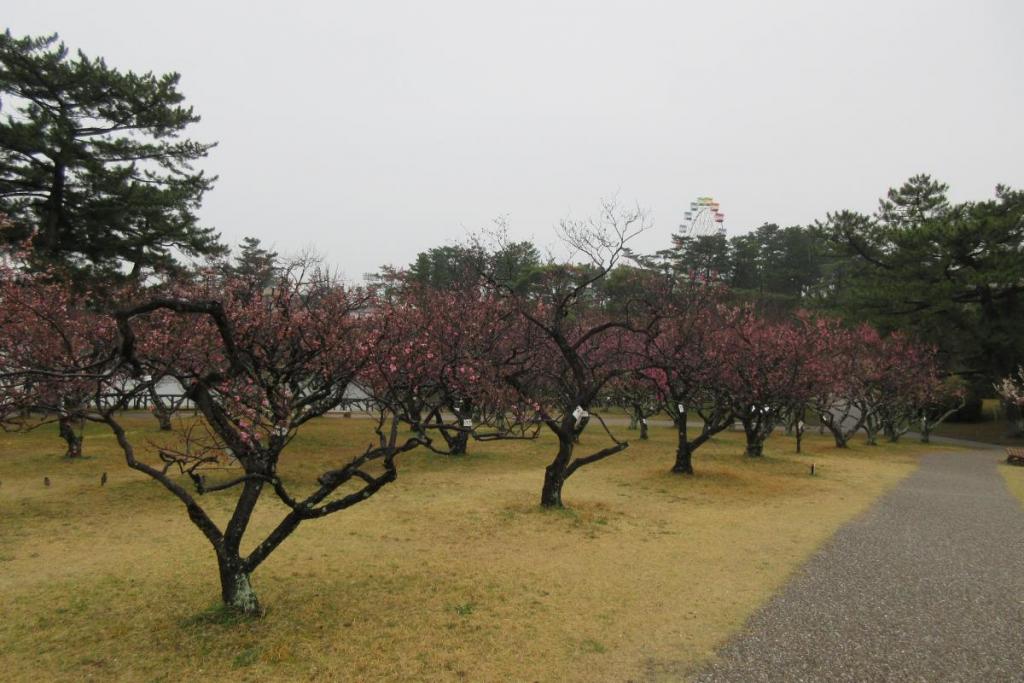 全景2