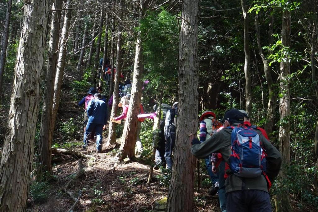 山頂手前の急な登り