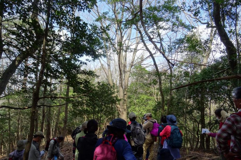 喜桜山山頂。まだ桜には早い