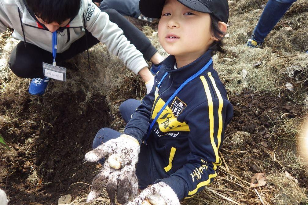 カブトムシの「幼虫」見つけたよ！