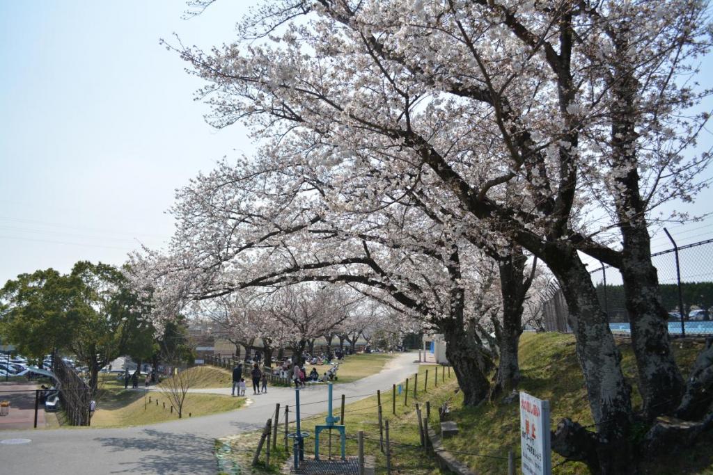 市民プール南東側。