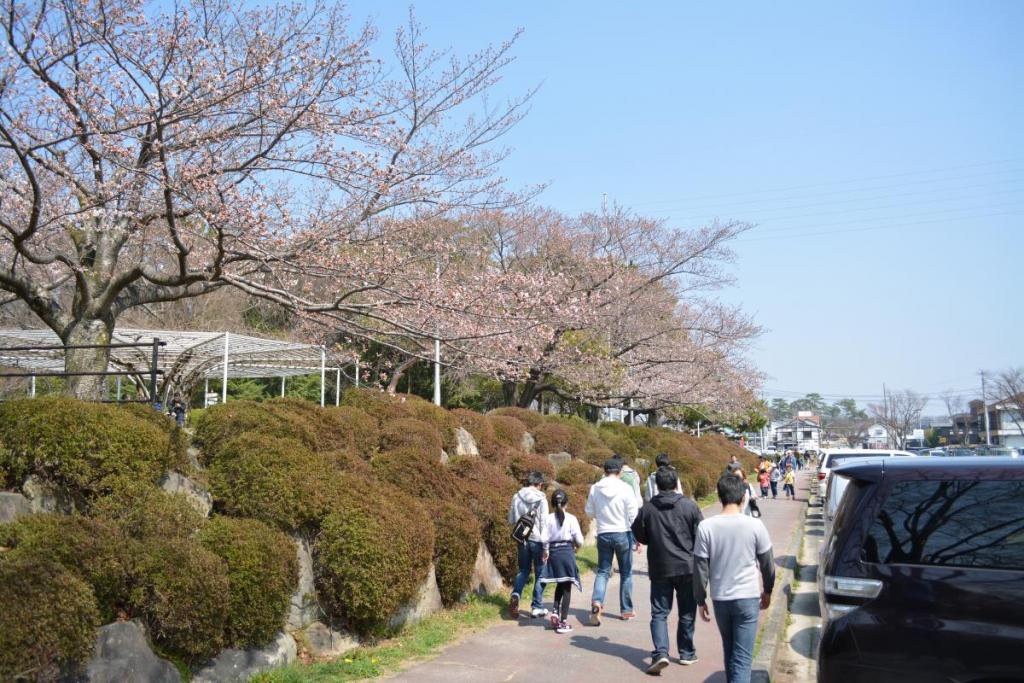 交通広場前駐車場の北側。