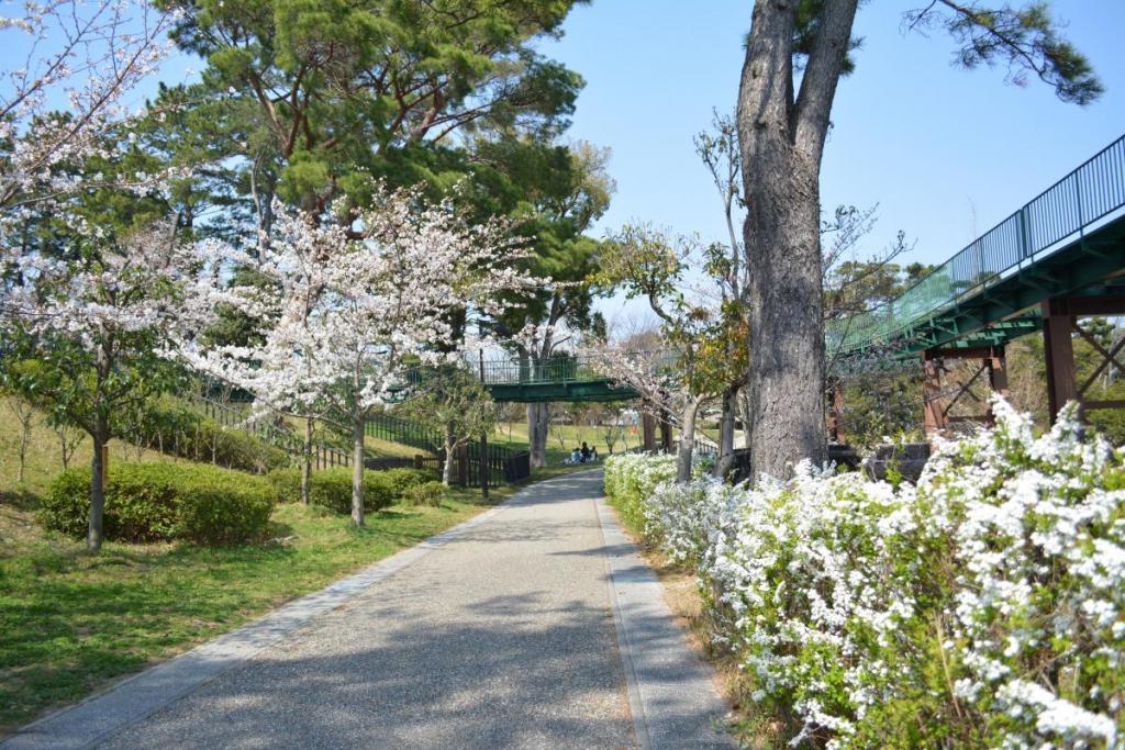 遊園地と池の間の園路。