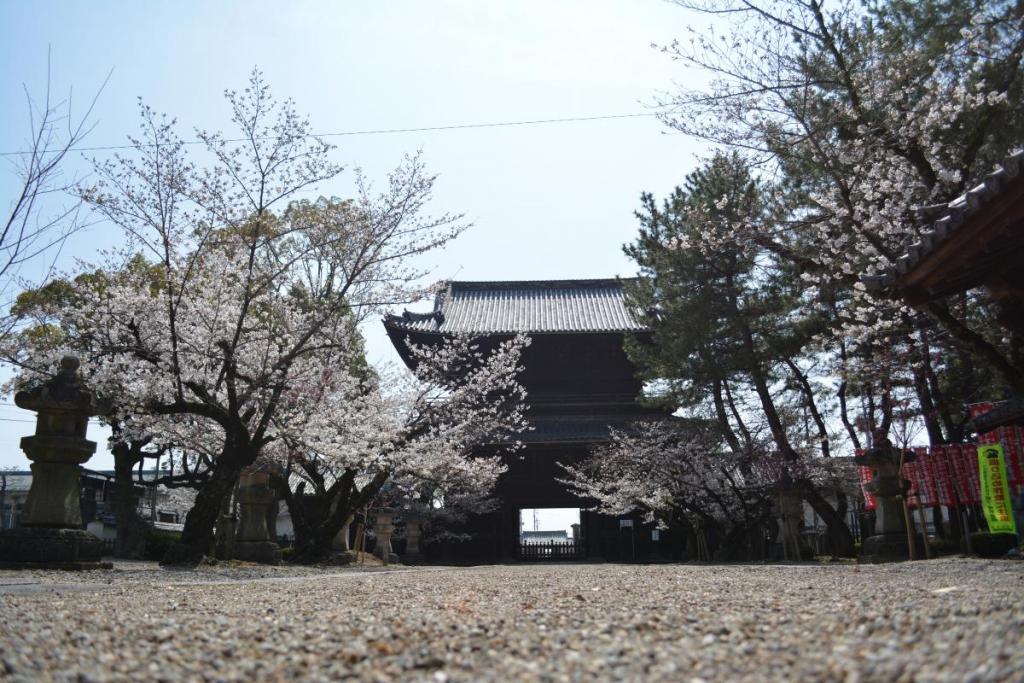 三門の向こうには岡崎城が見えます。