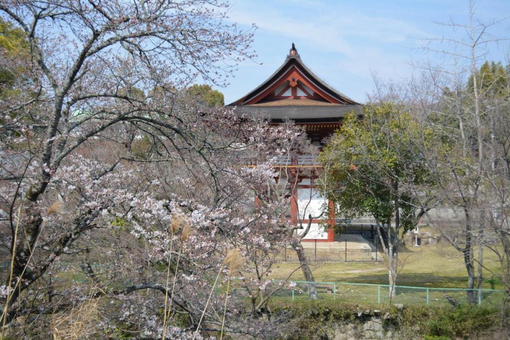 青木川を挟んで反対側に桜並木があります。