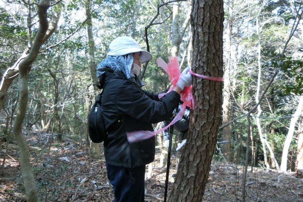 たくさんの人に山歩きの楽しさを知ってほしい